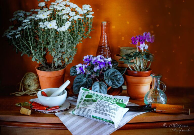 Как правильно вносить доломитовую муку в почву