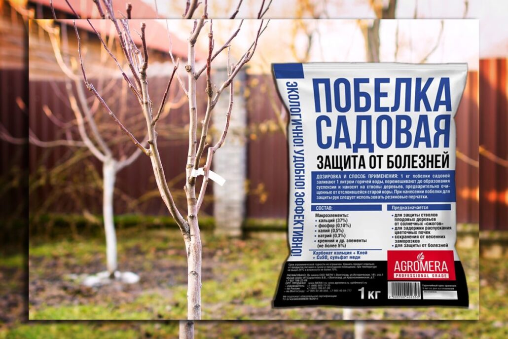 Побелка сада осенью