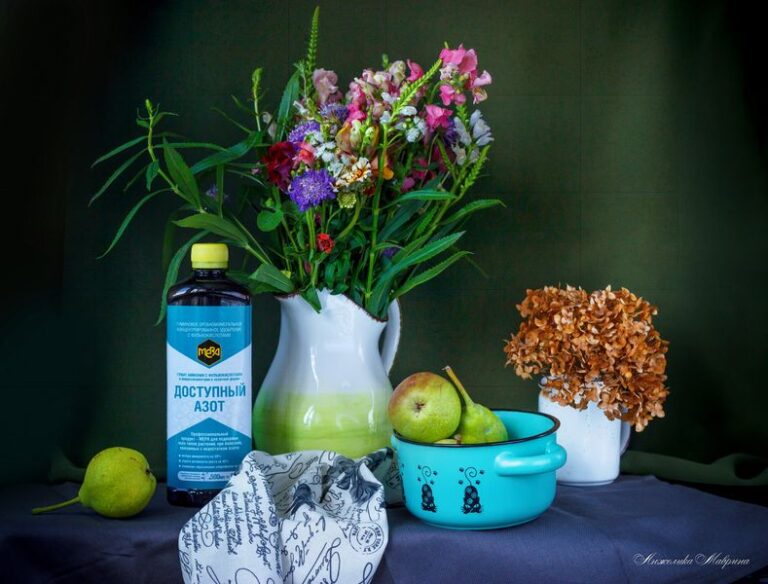 Фульвокислоты в садоводстве: секрет высокой урожайности