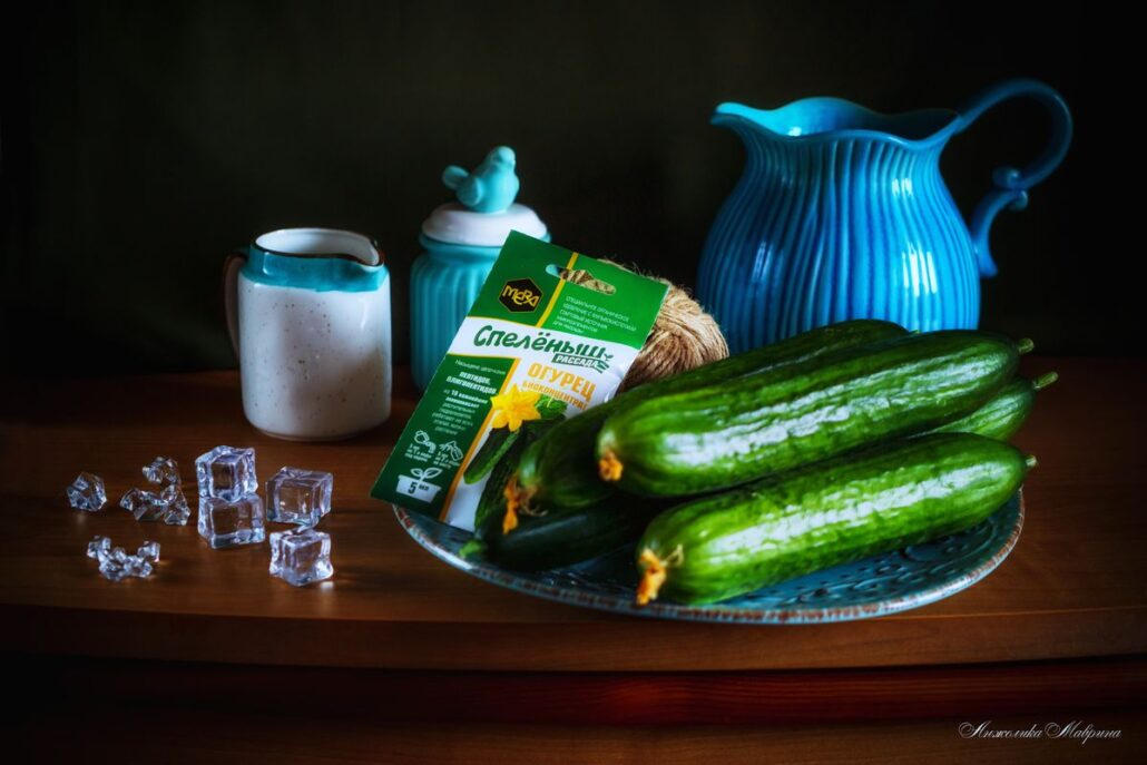 питание рассады огурцов