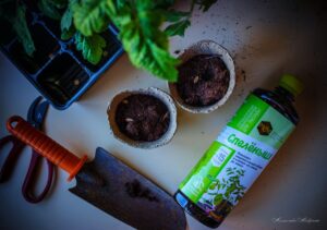 Универсальное удобрение для рассады: от семян до крепких растений