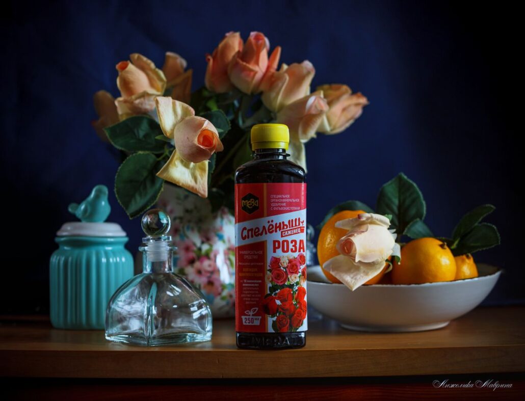 Как вырастить сильные саженцы роз: основные правила и частые ошибки