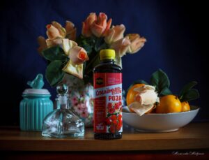 Как вырастить сильные саженцы роз: основные правила и частые ошибки