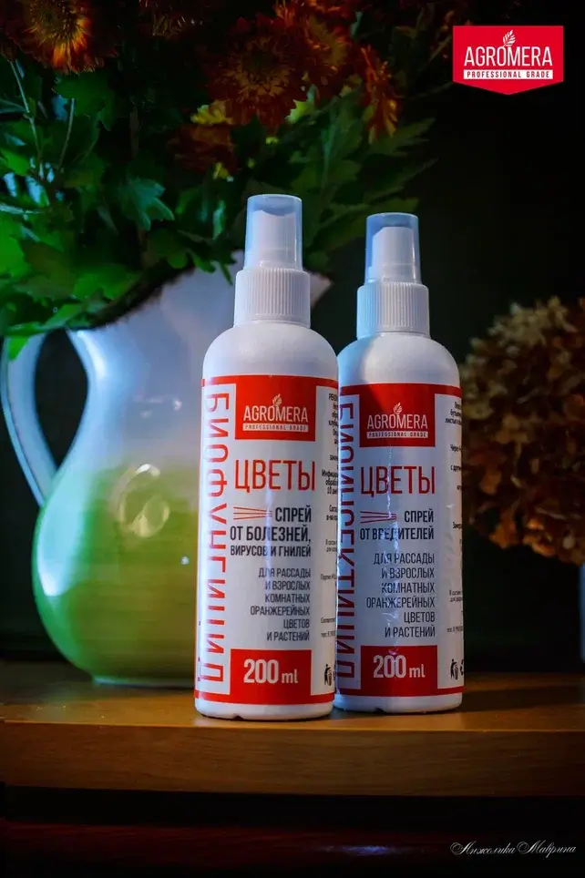 Как зимой ухаживать за луковичными растениями